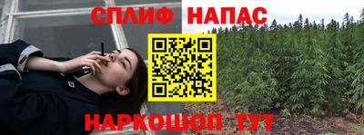 спайс Гусь-Хрустальный