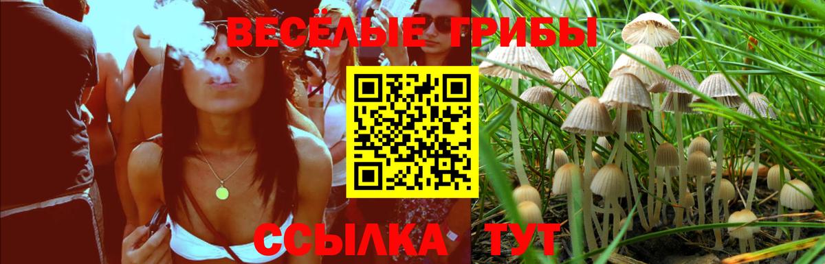 Новоалтайск  Галлюциногенные грибы Psilocybine cubensis  Галлюциногенные грибы GOLDEN TEACHER  Вход с VPN 